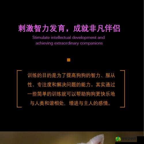 男狗任务表：探索未知世界，成就非凡狗生