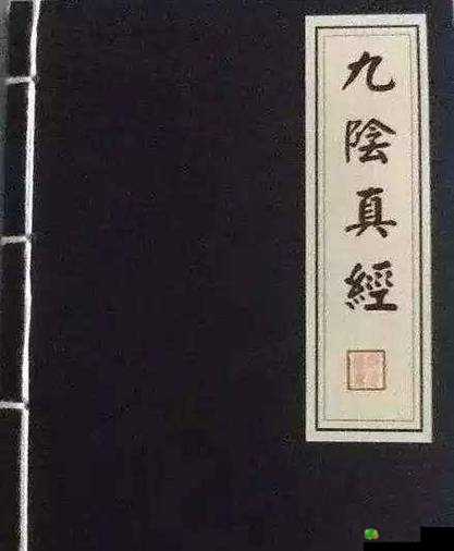 九阴真经 x88888：一部神秘绝世的武学宝典之探秘