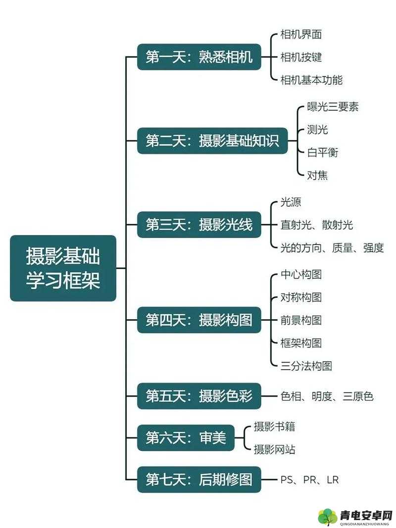 摄影艺术入门指南：从基础到创作的全面指导