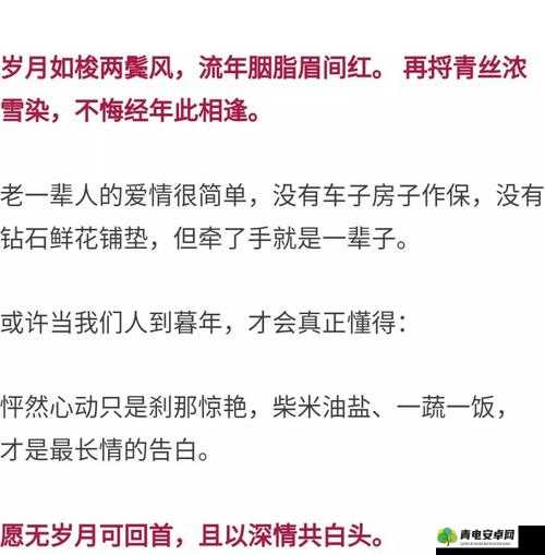 老干棒媳妇善良直爽却命运多舛-坚韧背后的深情与坚守