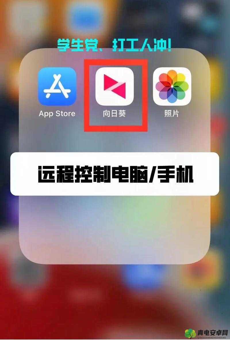 向日葵 app 官方下载网址进入：开启便捷应用之旅