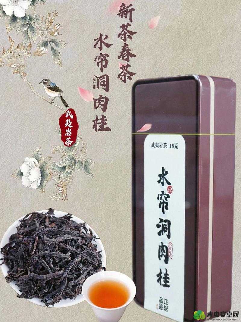 福建武夷山：水帘洞肉桂蜜桃香，品味独特的茶香世界