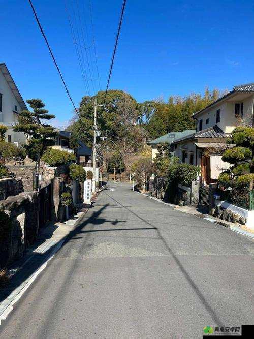 tobu 日本：一个充满独特魅力与文化底蕴的国度