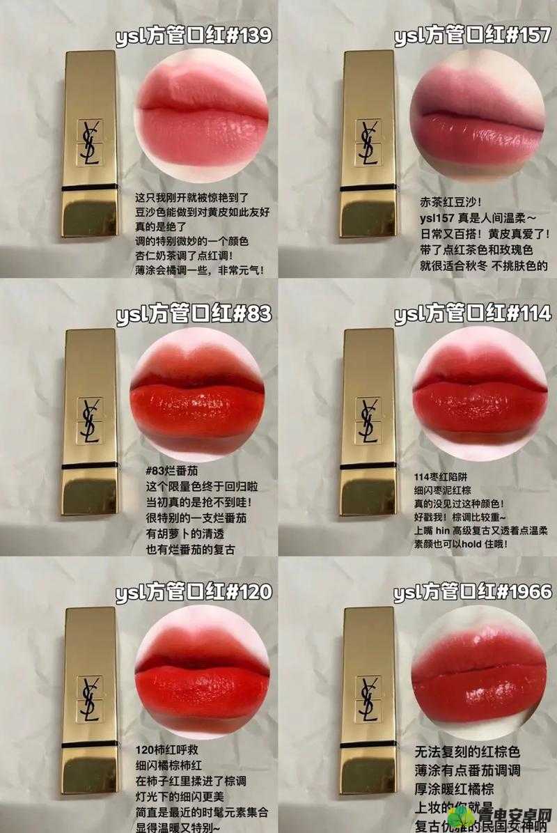 探索 YSL 水蜜桃色 4444 推荐及相关解析