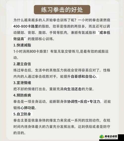 拳击俱乐部如何高效加点？属性与技能加点推荐全解析